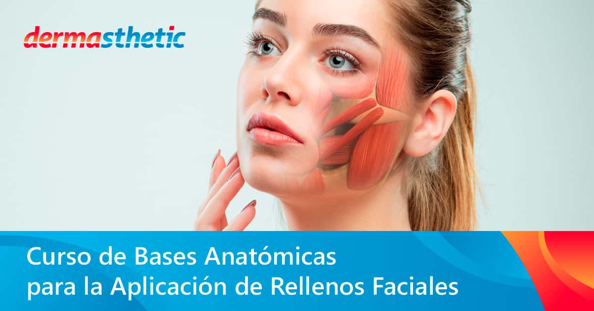 Curso de bases anatomicas para la aplicacion de rellenos faciales con acido hialuronico
